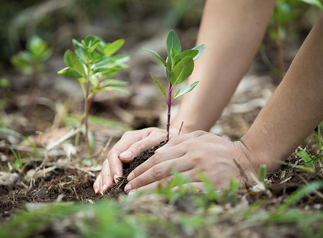 sustainability.social_image_1_alt